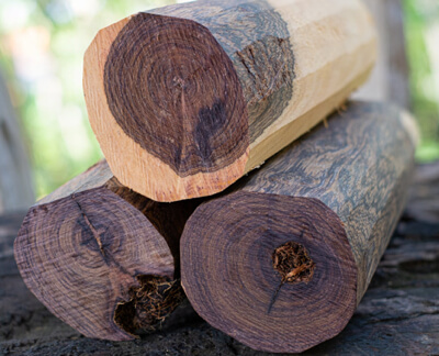 Colors and texture of Ebony wood