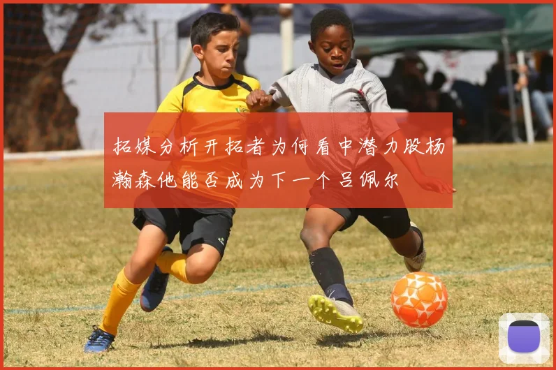 拓媒分析开拓者为何看中潜力股杨瀚森他能否成为下一个吕佩尔