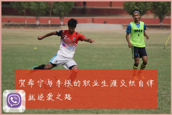 贺希宁与李根的职业生涯交织自律成就逆袭之路