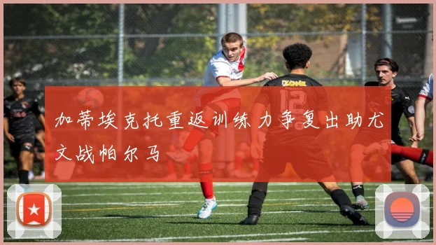 加蒂埃克托重返训练力争复出助尤文战帕尔马